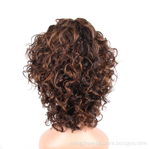 Human Hair Ombre Wig Short Ombre Curly Human Hair Wigs For Black Women Brazilian Remy Water Wave Wig